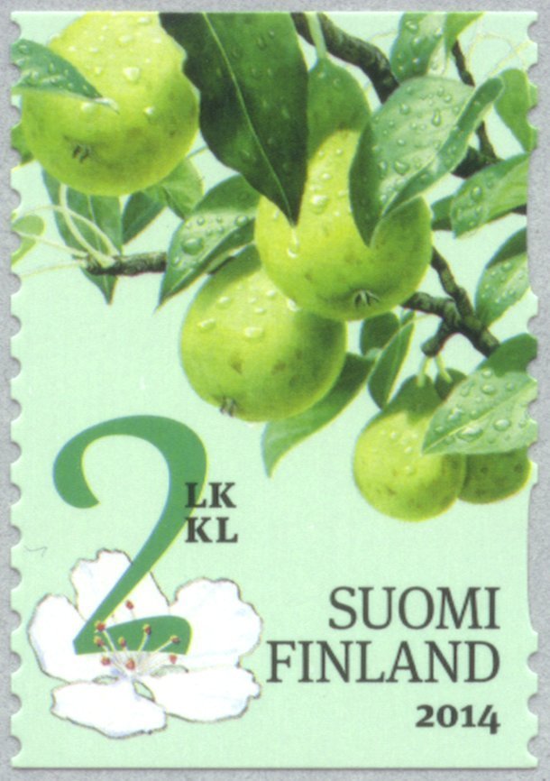 Pear