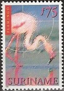 Stamp, American Flamingo (Phoenicopterus ruber), Suriname,  , Birds, Advertisements, Flamingos, Animals (Fauna)