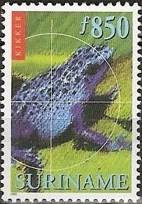 Stamp, Dyeing Poison Frog (Dendrobates tinctorius), Suriname,  , Frogs, Animals (Fauna)