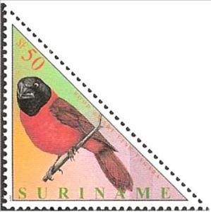 Stamp, Red-and-black Grosbeak (Periporphyrus erythromelas), Suriname,  , Birds, Animals (Fauna), Triangle Stamps