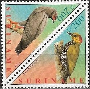 Slender-billed Kite (Helicolestes hamatus), Yellow-throated 