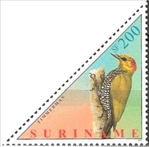 Stamp, Yellow-throated Woodpecker (Piculus flavigula), Suriname,  , Birds, Animals (Fauna), Triangle Stamps