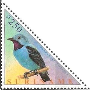 Stamp, Spangled Cotinga (Cotinga cayana), Suriname,  , Birds, Animals (Fauna), Triangle Stamps