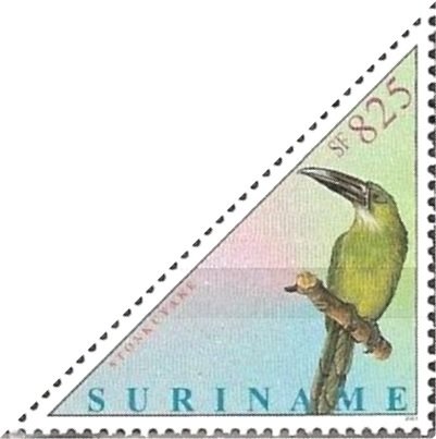 Chestnut-tipped Toucanet (Aulacorhynchus derbianus)
