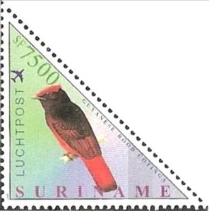 Stamp, Guianan Red-cotinga (Phoenicircus carnifex), Suriname,  , Birds, Animals (Fauna), Triangle Stamps