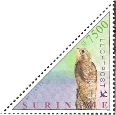 Great Potoo (Nyctibius grandis)