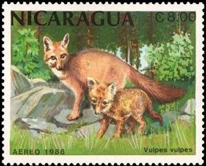 Stamp, Red Fox (Vulpes vulpes), Nicaragua,  , Foxes