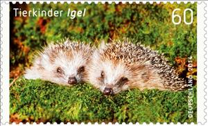 Stamp, Northern Hedgehog (Erinaceus europaeus), Germany, Federal Republic,  , Hedgehogs