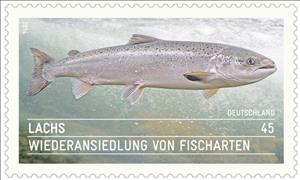 Stamp, Atlantic  Salmon (Salmo salar), Germany, Federal Republic,  , Animals (Fauna), Fishes