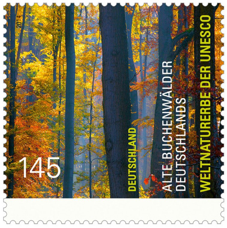 Old Beech Forests of Germany - World Natural Heritage of the