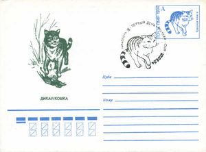 Postsheet: Wildcat