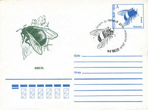 Postsheet: Bumblebee