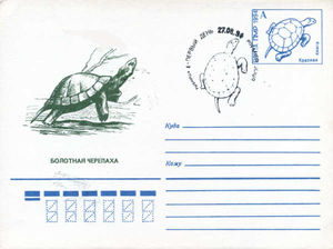 Postsheet: Tortoise