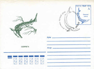 Postsheet: Sturgeon