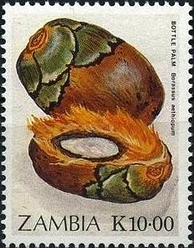 Souvenir Sheet, Bottle Palm, Zambia,  