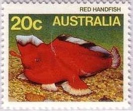 Stamp, Red Handfish (Brachionichthys politus), Australia,  , Sea Life, Fishes