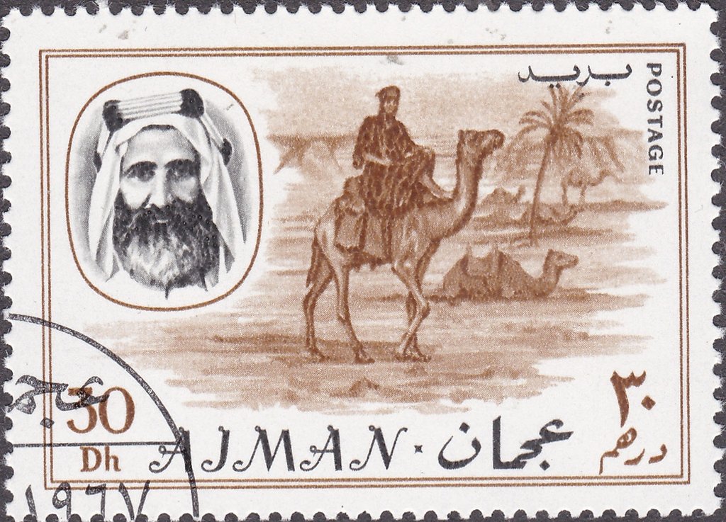 Sheik Rashid and Camel Rider
