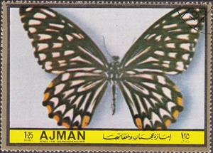 Stamp, Papilio clytia dissimilis, Ajman,  , Insects, Butterflies, Animals (Fauna)