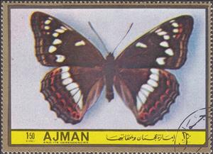 Stamp, Limenitis populi, Ajman,  , Insects, Butterflies, Animals (Fauna)