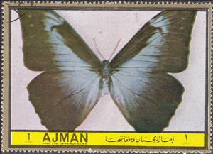 Stamp, Morpho cramer, Ajman,  , Insects, Butterflies, Animals (Fauna)