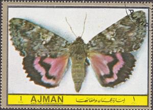 Stamp, Astiotes sponsa, Ajman,  , Insects, Butterflies, Animals (Fauna)