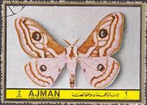 Stamp, Henicha marnios, Ajman,  , Insects, Butterflies, Animals (Fauna)