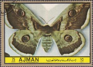 Stamp, Saturnia pyri, Ajman,  , Insects, Butterflies, Animals (Fauna)