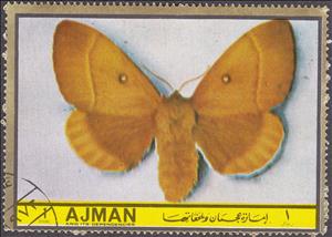 Stamp, Lasiocampa quercus, Ajman,  , Insects, Butterflies, Animals (Fauna)