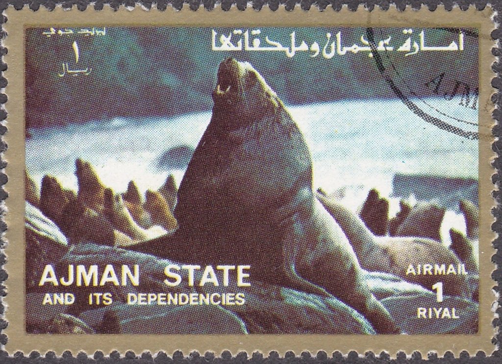 Sea lion