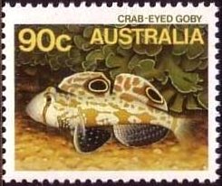 Stamp, Crab-eyed Goby (Signigobius biocellatus), Australia,  , Sea Life, Fishes