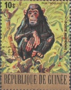 Stamp, Chimpanzee (Pan troglodytes), Guinea, Social Democratic Republic,  