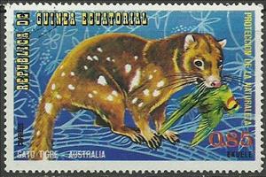 Stamp, Spotted-tailed Quoll (Dasyurus maculatus), Equatorial Guinea,  , Mammals, Cats, Animals (Fauna)