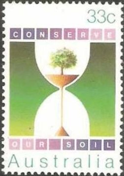 Tree & Soil