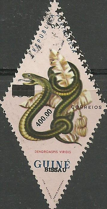 Western Green Mamba (Dendoaspris viridis)