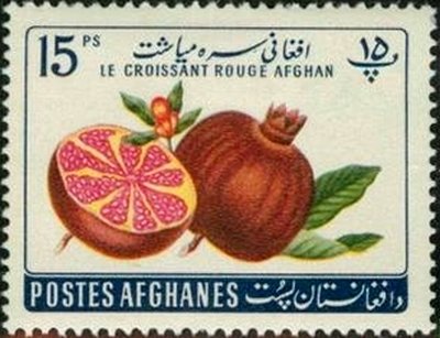 Punica granatum