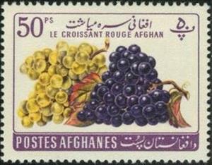 Stamp, Vitis vinifera, Afghanistan,  , Fruits