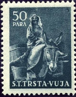 Donkey (Equus asinus asinus) with Female Rider