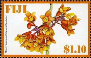Stamp, Dendrobium mohlianum Reichenb., Fiji,  , Orchids