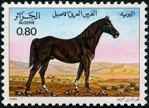 Stamp, Horse (Equus ferus caballus), Algeria,  , Horses
