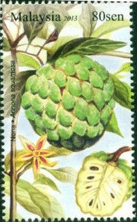 Sugar apple