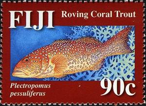 Stamp, Roving Coral Trout (Plectropomus pessuliferus), Fiji,  , Fishes