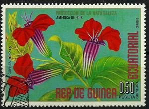 Stamp, Cuphea miniata, Equatorial Guinea,  , Flowers, Plants (Flora)