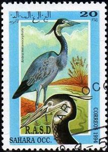 Stamp, Ardea melanocephala, Western Sahara - Vignettes,  , Birds