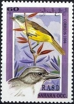 Bird