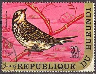 Meadow Pipit (Anthus pratensis)