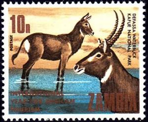 Stamp, Defassa Waterbuck (Kobus defassa), Zambia,  , Animals (Fauna)
