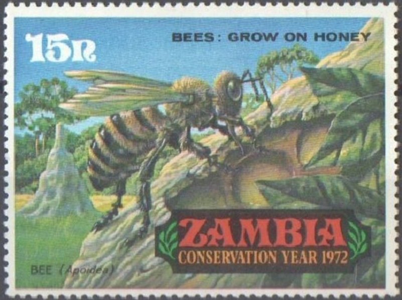 Bee (Apis sp.)