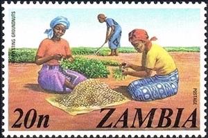 Stamp, Peanuts harvesting, Zambia,  