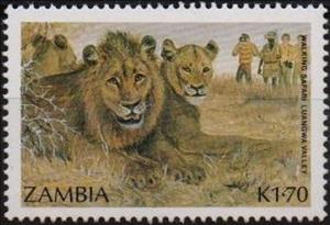 Stamp, Lion (Panthera leo), Zambia,  , Лев, Animals (Fauna)