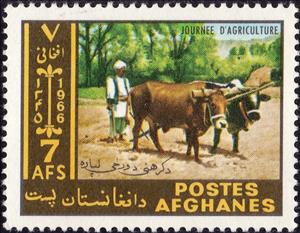 Stamp, Domestic Cattle (Bos taurus), Afghanistan,  , Mammals, Cattle, Animals (Fauna)